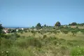 Atterrir 20 700 m² Siviri, Grèce