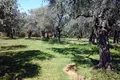 Land 1 room 13 000 m² Thassos Municipality, Greece