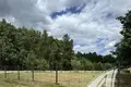 Parcelas  Znamienski sielski Saviet, Belarús