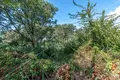 Land 1 167 m² Opcina Liznjan, Croatia
