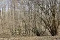 Дом 4 комнаты 139 м² Ивенец, Беларусь