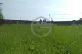 Land  Nikonovskoye, Russia