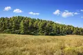 Land 4 500 m² Kassandrino, Greece