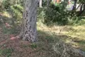 Grundstück  Sutomore, Montenegro