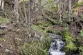 Grundstück  Rio Ibanez, Chile
