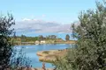 Atterrir 1 chambre 3 750 m² Períthia, Grèce