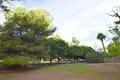 Apartamento 2 habitaciones 99 m² Torrevieja, Španjolska