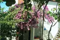 Hotel 400 m² Grad Trogir, Chorwacja