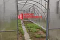Дом 3 комнаты 30 м² Коптёвский сельский Совет, Беларусь