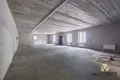 Produktion 1 501 m² Pierasady, Belarus