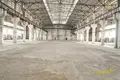 Производство 12 000 м² Новолукомль, Беларусь