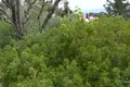 Земельные участки 1 комната  Кавос, Греция