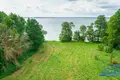 Коттедж 192 м² Нарочский сельский Совет, Беларусь