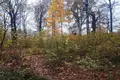 Parcelas  Odincovskij gorodskoj okrug, Rusia