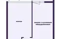 Mieszkanie 1 pokój 44 m² Mińsk, Białoruś