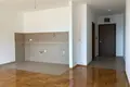 1 room apartment 45 m² Boreti, Montenegro