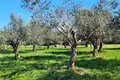 Atterrir  Opcina Marcana, Croatie