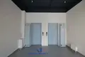 Propiedad comercial 721 m² en Minsk, Belarús