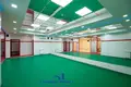 Commercial property 126 m² in Minsk, Belarus