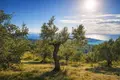 Land 8 500 m² Neos Marmaras, Greece