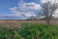 Квартира 1 400 м² Краков, Польша