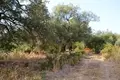 Land 1 room 6 500 m² Kariotiko, Greece