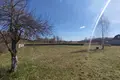 Atterrir  Puchavicki sielski Saviet, Bélarus