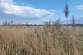 Квартира 1 400 м² Краков, Польша