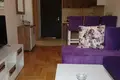 Mieszkanie 1 pokój  w Budva, Czarnogóra
