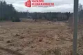 Land  Karobcycy, Belarus