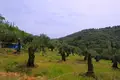 Atterrir 1 chambre  Agnítsini, Grèce