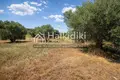 Atterrir 15 000 m² Pefkochori, Grèce
