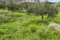 Земельные участки 1 комната  Равдоуха, Греция