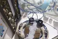 2 bedroom apartment 70 m² Dubai, United Arab Emirates