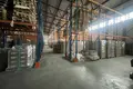 Magazyn 1 495 m² Staraya Kupavna, Rosja