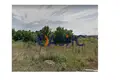 Propriété commerciale 573 m² à Primorsko, Bulgarie