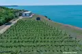 Luxury Mansion-Hotel North Of Varna, Bulgaria