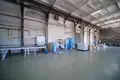 Manufacture 2 311 m² in Dukorski sielski Saviet, Belarus