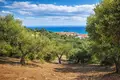 Land 2 100 m² Kassandrino, Greece