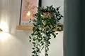 Appartement 2 chambres 130 m² Espagne, Espagne