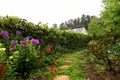Maison 8 chambres 250 m² Dzerumi, Lettonie