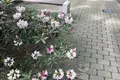 Бизнес-центр M4A (Mednieku iela 4A)