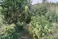 House 6 m² Papiarnianski sielski Saviet, Belarus