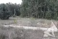 Land  Damacauski sielski Saviet, Belarus