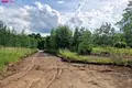 Atterrir  Darzininkai, Lituanie