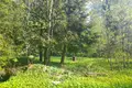 Land  Nikolskoe, Russia