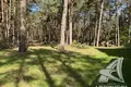 Chambre 349 m² Dzivin, Bélarus