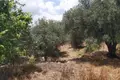 Land 1 room  Lauki, Greece