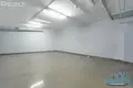 Commercial property 51 m² in Minsk, Belarus