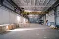 Manufacture 2 311 m² in Dukorski sielski Saviet, Belarus